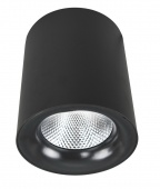 Потолочный светильник Arte Lamp  FACILE A5130PL-1BK
