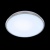 Накладной светильник Citilux Луна CL702301N